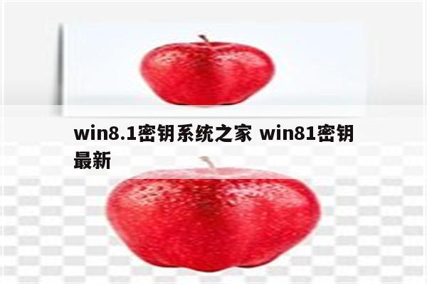 win8.1密钥系统之家 win81密钥最新