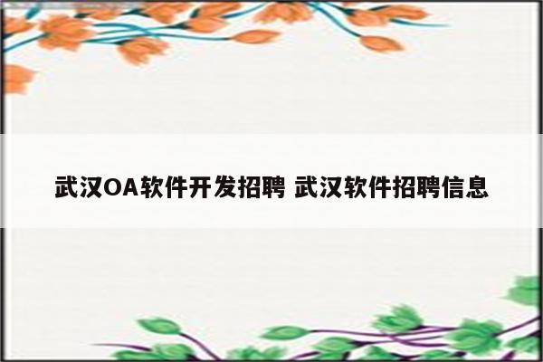 武汉OA软件开发招聘 武汉软件招聘信息