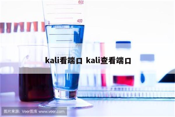 kali看端口 kali查看端口