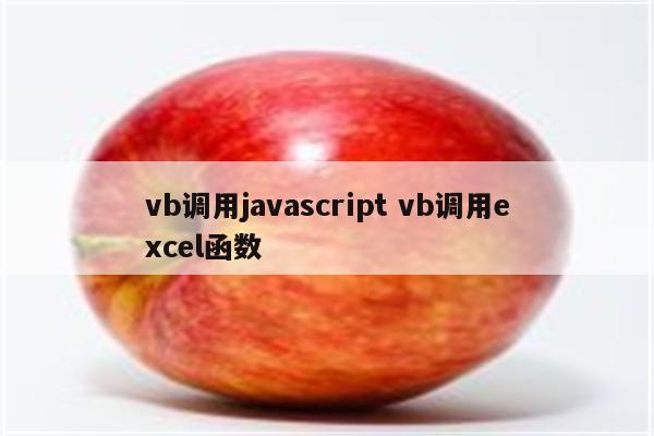 vb调用javascript vb调用excel函数