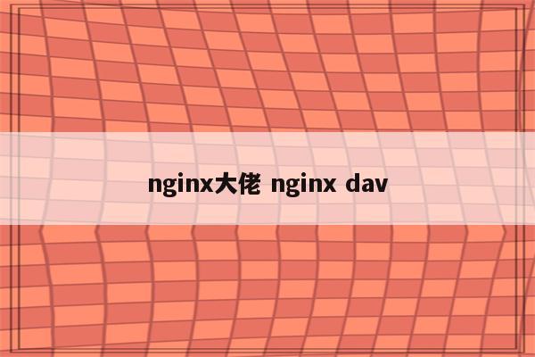 nginx大佬 nginx dav