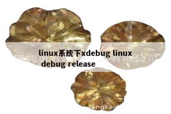 linux系统下xdebug linux debug release