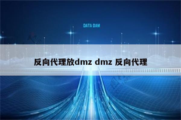 反向代理放dmz dmz 反向代理