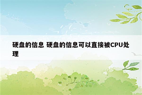 硬盘的信息 硬盘的信息可以直接被CPU处理