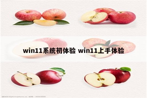 win11系统初体验 win11上手体验