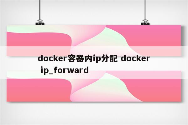 docker容器内ip分配 docker ip_forward