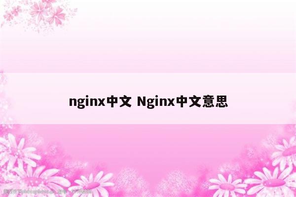 详细阅读:nginx中文 Nginx中文意思 nginx中文 Nginx中文意思
