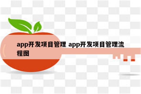 app开发项目管理 app开发项目管理流程图