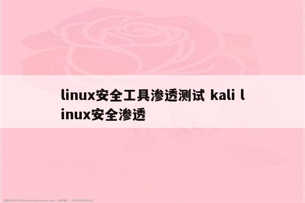 linux安全工具渗透测试 kali linux安全渗透