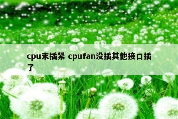 cpu末插紧 cpufan没插其他接口插了