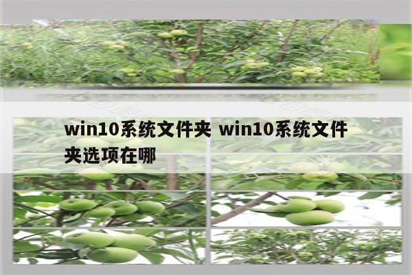 win10系统文件夹 win10系统文件夹选项在哪