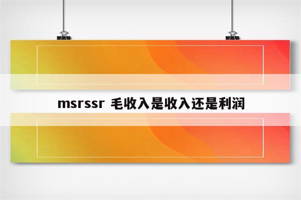 msrssr 毛收入是收入还是利润