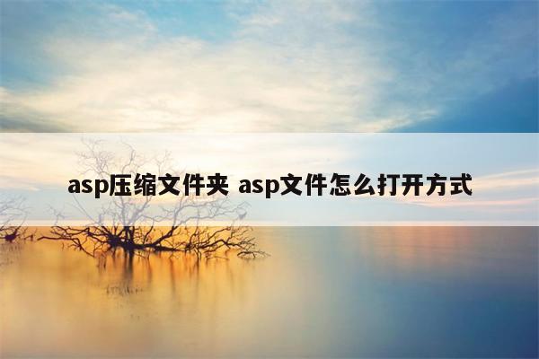 asp压缩文件夹 asp文件怎么打开方式