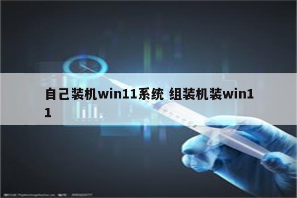 自己装机win11系统 组装机装win11