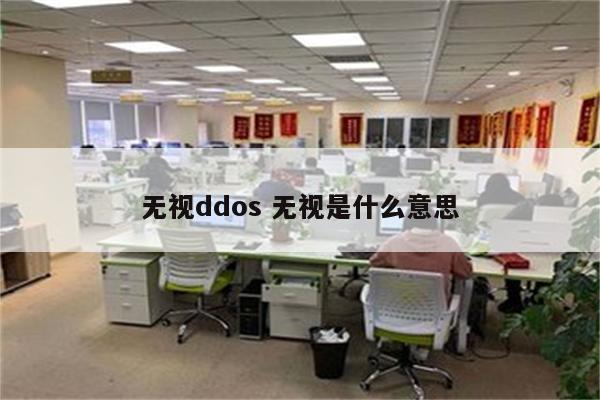 无视ddos 无视是什么意思