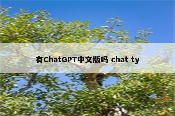 有ChatGPT中文版吗 chat ty