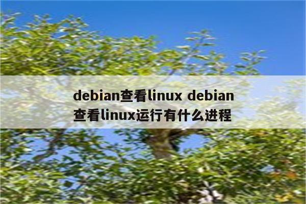 debian查看linux debian查看linux运行有什么进程