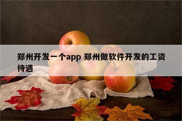 郑州开发一个app 郑州做软件开发的工资待遇