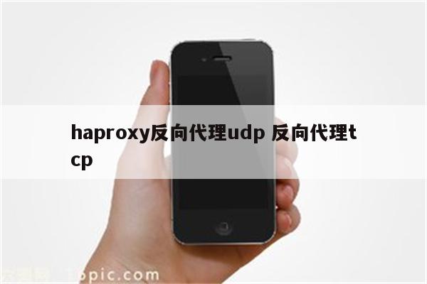 haproxy反向代理udp 反向代理tcp