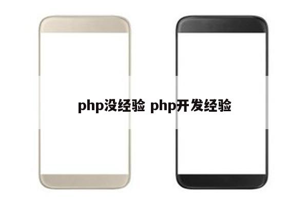 php没经验 php开发经验