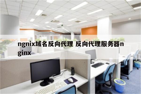 ngnix域名反向代理 反向代理服务器nginx