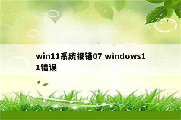 win11系统报错07 windows11错误