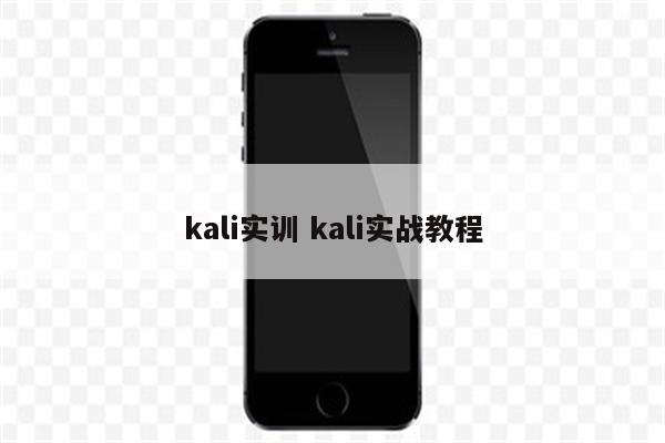 kali实训 kali实战教程