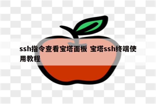 ssh指令查看宝塔面板 宝塔ssh终端使用教程