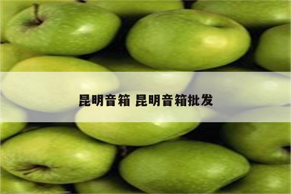 昆明音箱 昆明音箱批发