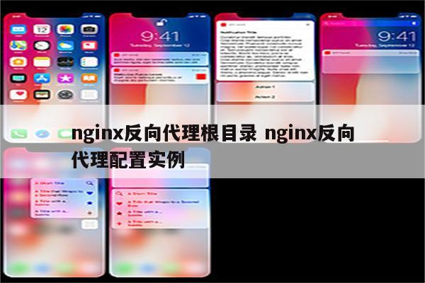 nginx反向代理根目录 nginx反向代理配置实例