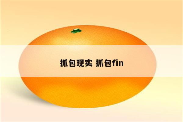 抓包现实 抓包fin