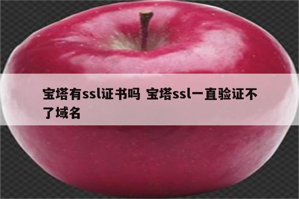 宝塔有ssl证书吗 宝塔ssl一直验证不了域名