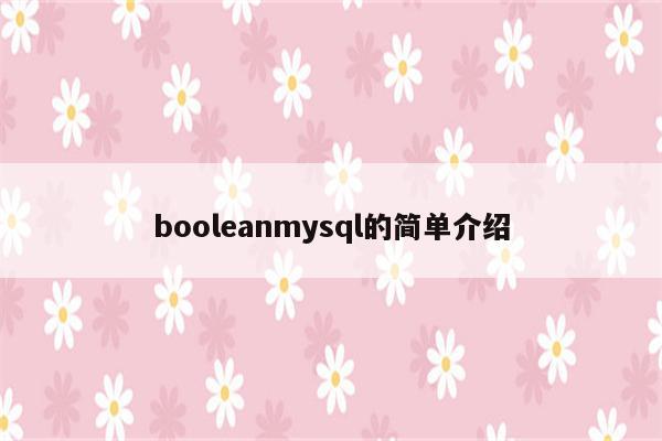 booleanmysql的简单介绍