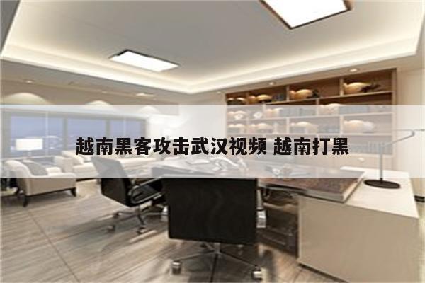 越南黑客攻击武汉视频 越南打黑