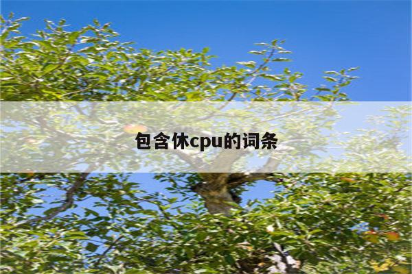 包含休cpu的词条