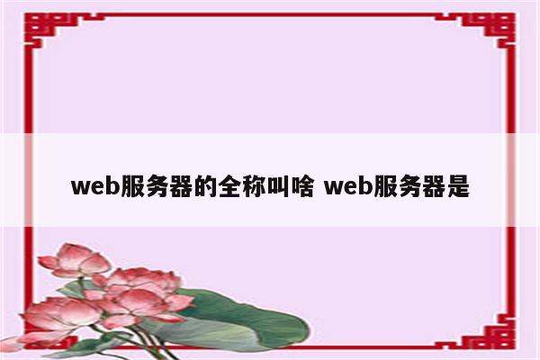 web服务器的全称叫啥 web服务器是