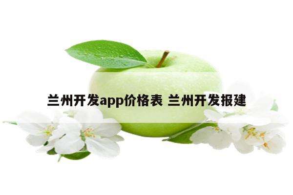 兰州开发app价格表 兰州开发报建