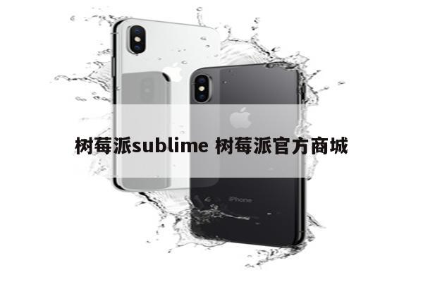 树莓派sublime 树莓派官方商城