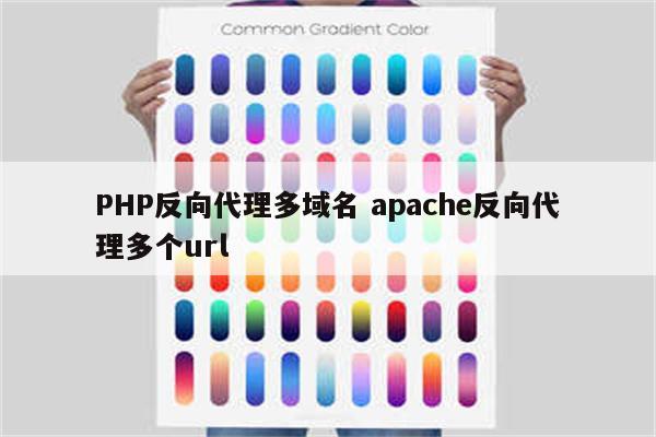 PHP反向代理多域名 apache反向代理多个url