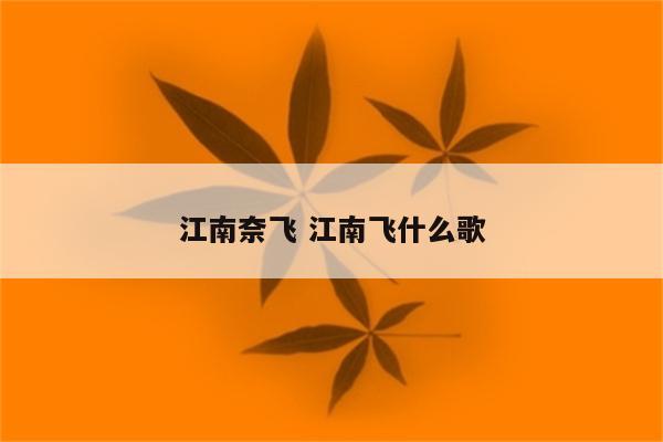 江南奈飞 江南飞什么歌