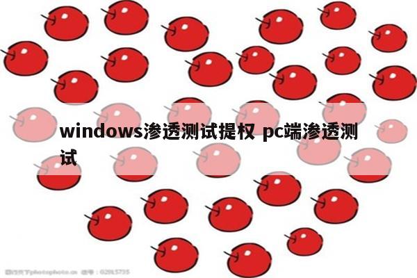 windows渗透测试提权 pc端渗透测试