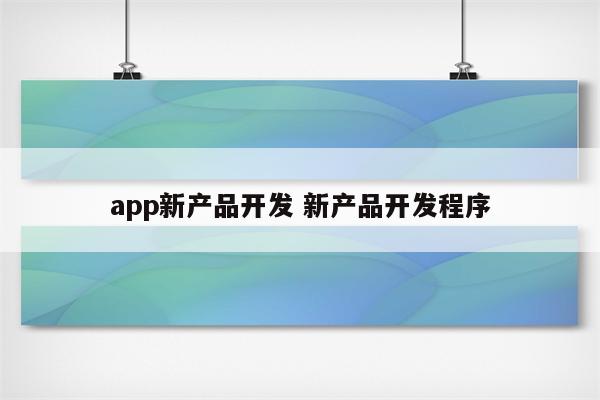 app新产品开发 新产品开发程序