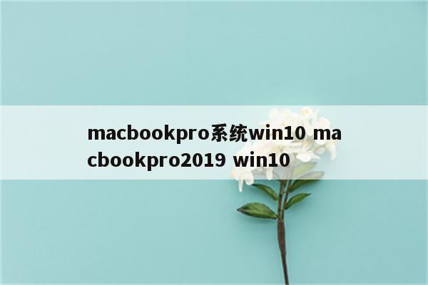 macbookpro系统win10 macbookpro2019 win10