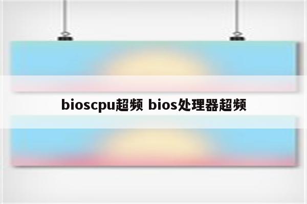 bioscpu超频 bios处理器超频