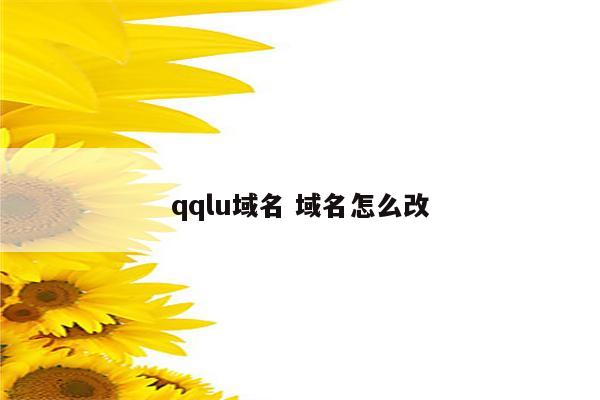 qqlu域名 域名怎么改