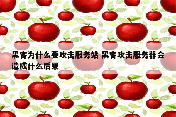 黑客为什么要攻击服务站 黑客攻击服务器会造成什么后果