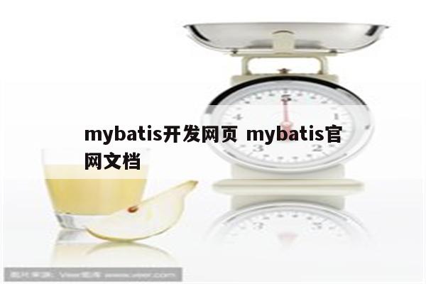 mybatis开发网页 mybatis官网文档