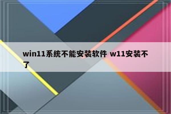 win11系统不能安装软件 w11安装不了