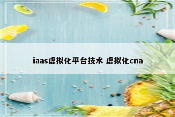 iaas虚拟化平台技术 虚拟化cna