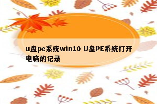 u盘pe系统win10 U盘PE系统打开电脑的记录